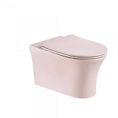 Good selling modern western bathroom one piece pink ceramic toilet for home